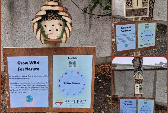 Ashleaf Shopping Centre Welcomes Bug Hotels to Boost Local Biodiversity