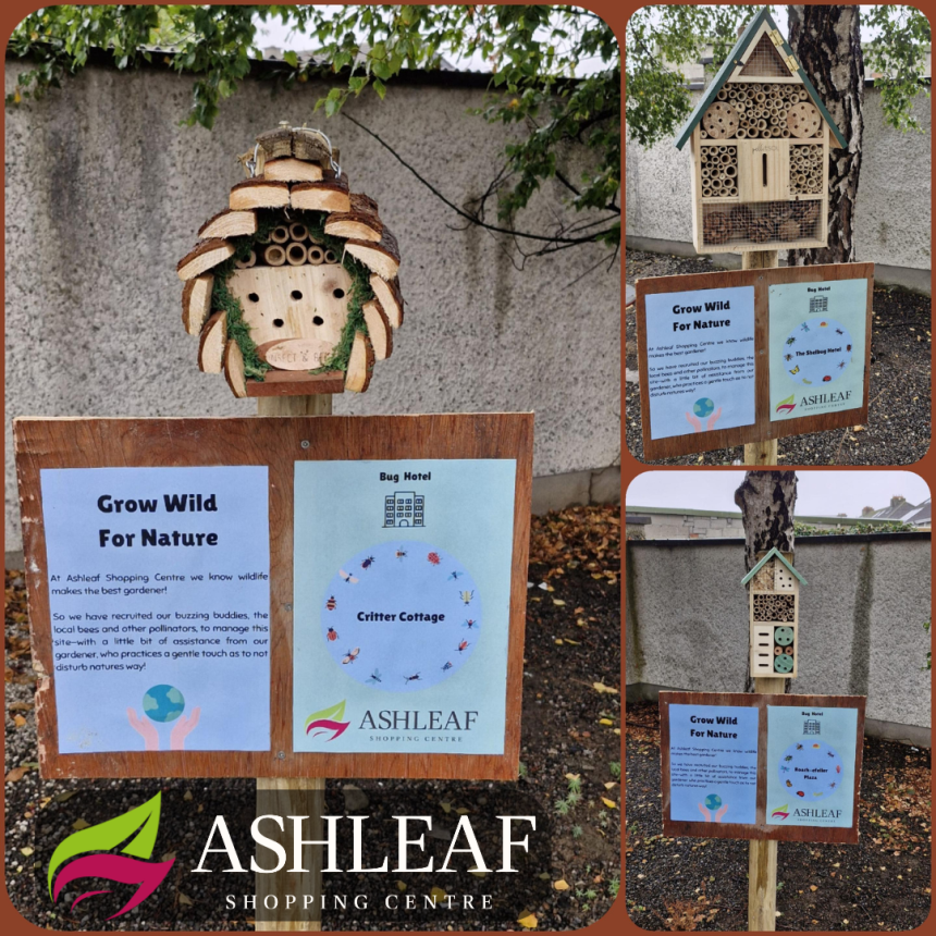 Ashleaf Shopping Centre Welcomes Bug Hotels to Boost Local Biodiversity