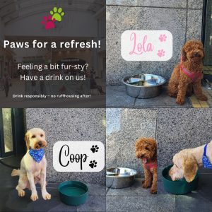 Keeping Tails Wagging at Ashleaf Shopping Centre