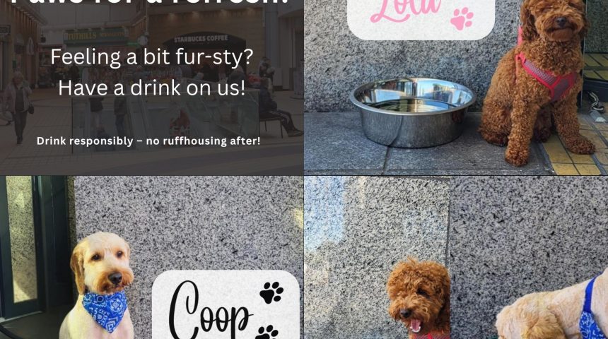 Keeping Tails Wagging at Ashleaf Shopping Centre Keeping Tails Wagging at Ashleaf Shopping Centre