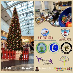 Big Hearts in D12: A Huge Thank You for the 2025 Giving Tree Success!