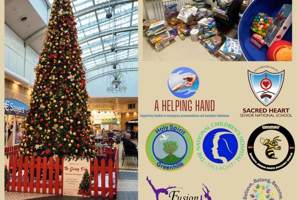 Big Hearts in D12: A Huge Thank You for the 2025 Giving Tree Success!